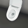 Унитаз биде Geberit AquaClean Sela 146.224.11.1 подвесной с сиденьем Микролифт