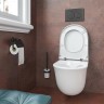 Клавиша смыва Geberit Sigma 20 115.882.16.1 Черная матовая